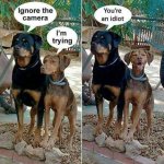 FB_IMG_1469161567903.jpg