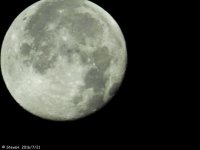 DSCN0496.jpg