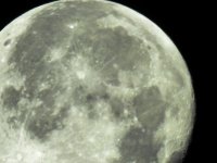 DSCN0503.jpg