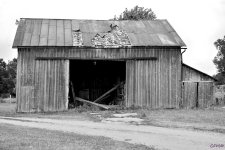 DSC_0400 nxd.jpg