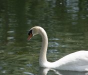 DSC_3718.jpg
