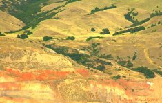 Colorful Mountain Side 7-22-2016.jpg
