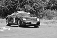DSC_1288rorchcopy.jpg