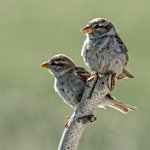 DSC_0484-Edit.jpg