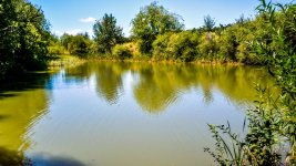 DSCN1225.jpg