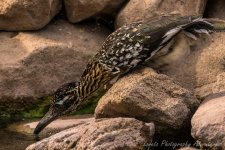 DSC_7769.jpg