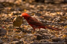 DSC_7682.jpg