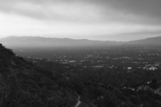 DSC_0315-B&W.jpg