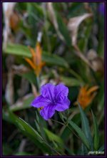 _71D5484_02.jpg