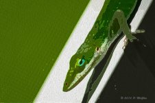 D72_0268-Edit.jpg