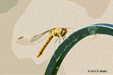 D72_0277-Edit.jpg