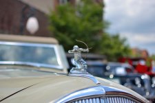 DSC_0462 nxd.jpg