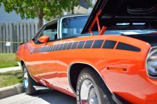 DSC_0447 nxd.jpg