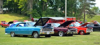 DSC_0486 nxd.jpg