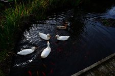 DSC_3332.jpg