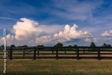 untitled-1258.jpg