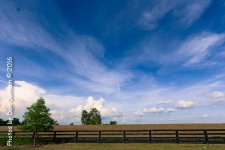 untitled-1276.jpg
