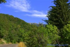 Muller Park #3  7-25-2016.jpg