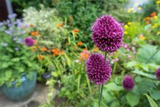 July 24, 2016-0042.jpg