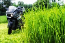 KTM RC200 in the field.jpg