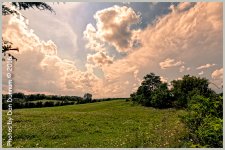 20160730 Clouds and Birds-1492-Edit-2.jpg