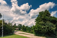 20160730 Clouds and Birds-1485-Edit.jpg