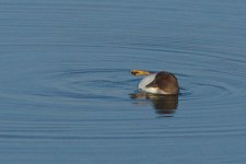 B&B evening-0204.jpg