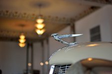 DSC_0022 nxd.jpg