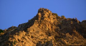 Timponogos Canyon #6  8-1-2016.jpg
