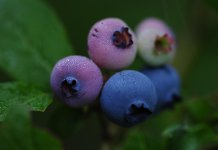 1MC_5002 - copie 2.jpg