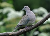 DSC_0724.jpg