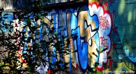 xg_IMG_5257.jpg