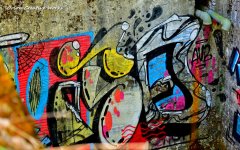 xg_IMG_5259.jpg