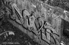xg_IMG_5260.jpg