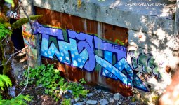 xg_IMG_5262.jpg
