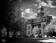 8-1-16 Medina IR   2.1BWsm.jpg