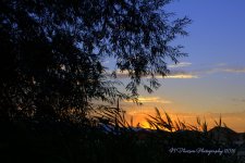 Sunset in a Lehi Park #5 8-4-2016.jpg