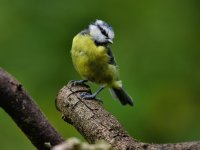 DSC_0892.jpg