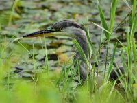 DSC_0807.jpg