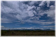 8-1-16-cr_DSC_4097.jpg