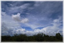 8-3-16-cr_DSC_4110.jpg