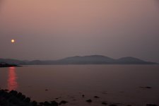 D72_6081a.jpg