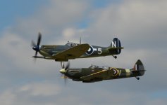 DSC_0137.jpg