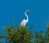 DSC_0353.jpg