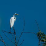 DSC_0361.jpg