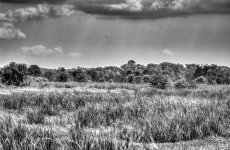 D72_0508_09_10_11_12_tonemapped.jpg