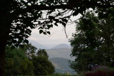 DSC_7013.jpg