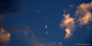 Moon over Antelope Island 8-7-2016.jpg