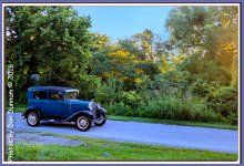 Morning walk-2103-Edit.jpg