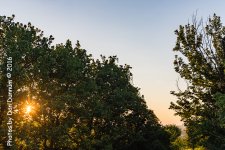 Morning walk-2093.jpg
